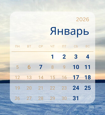 Бухгалтерская компания «ВГМ Консалт»