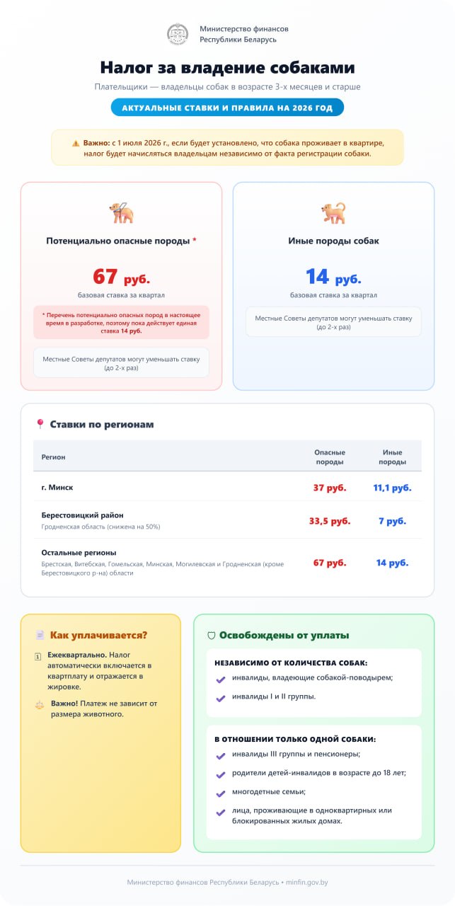 Инфографика: налог на собак в 2026 году в РБ